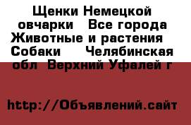 Щенки Немецкой овчарки - Все города Животные и растения » Собаки   . Челябинская обл.,Верхний Уфалей г.